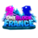 Logo du serveur OneBlockFrance
